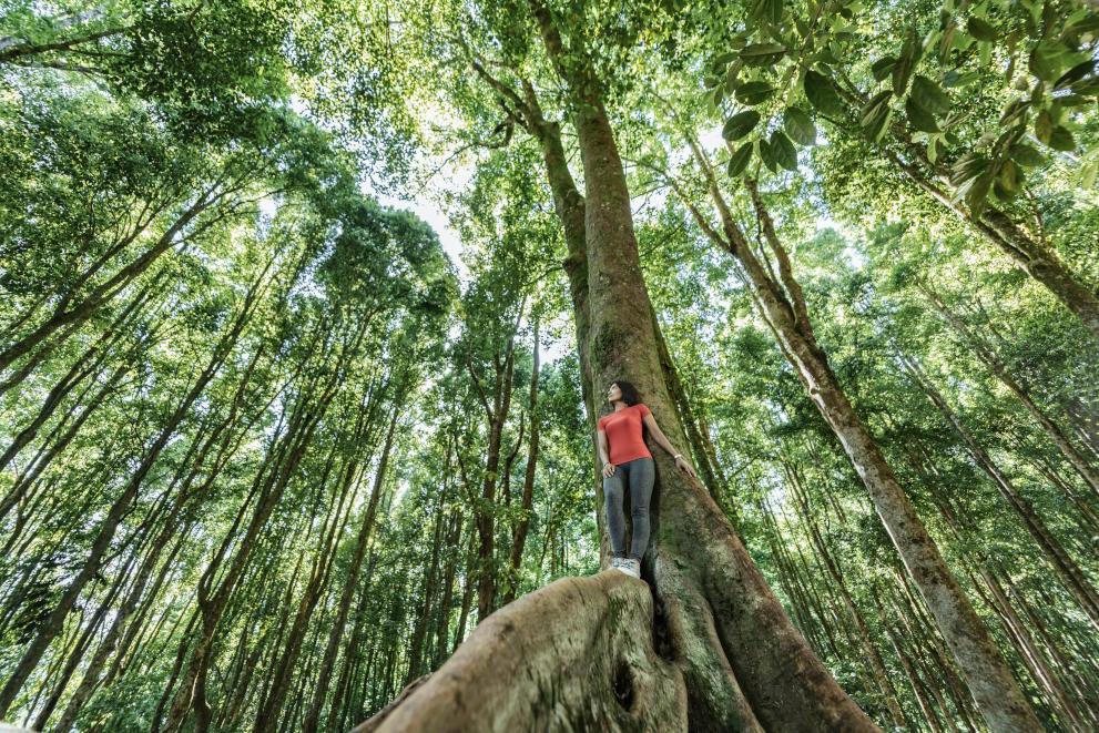 Woman standing on tropical in tropical rainforest